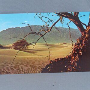 Vintage Postcard - Sand Dunes Death Valley National Monument - Dexter Press
